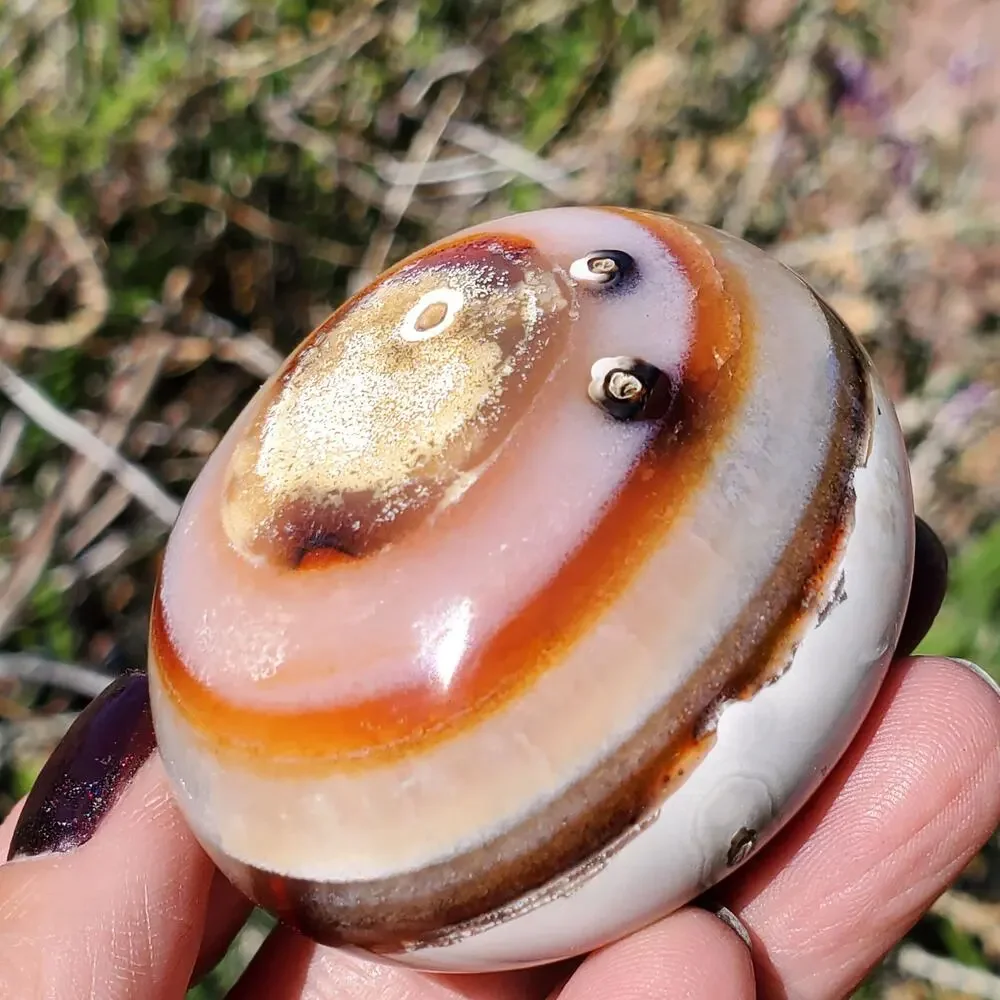 Eyes on Back Orca Agate Carnelian Stone Crystal UNIQUE Palmstone 180 grams